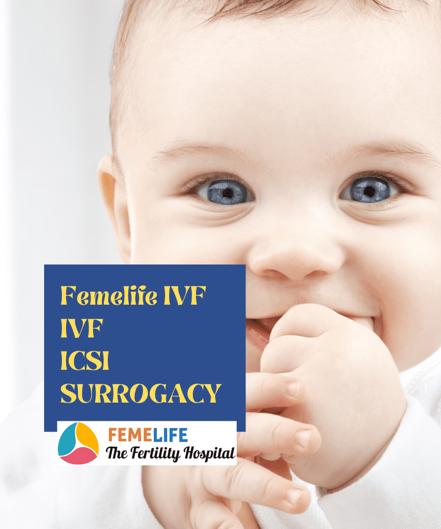 femelife surrogacy